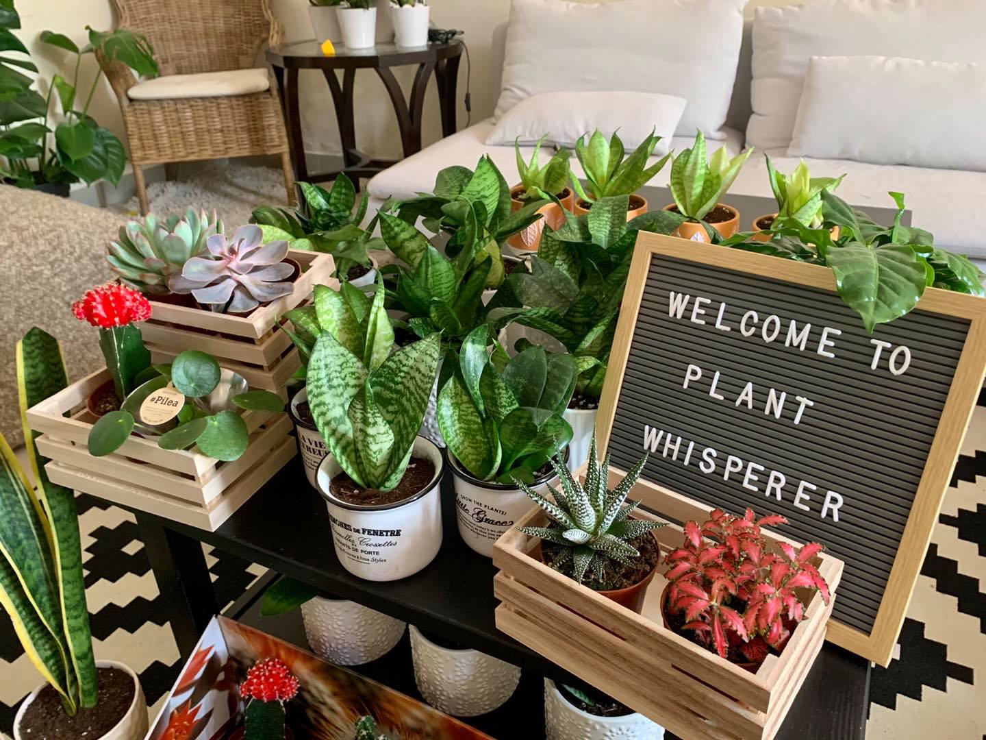 Plant Whisperer