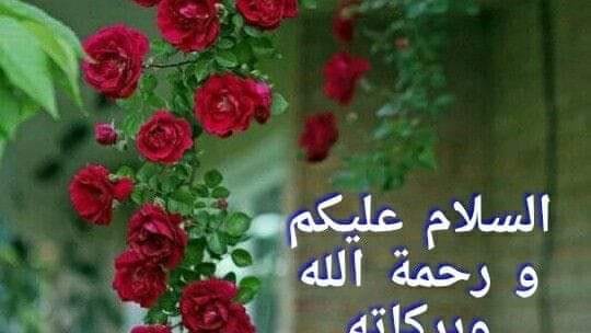 Raja Saleem | Facebook