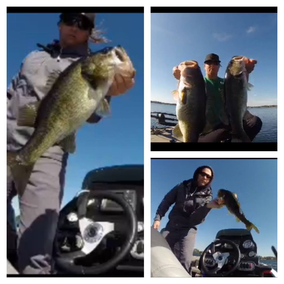 GatorBack Rods | Orlando FL