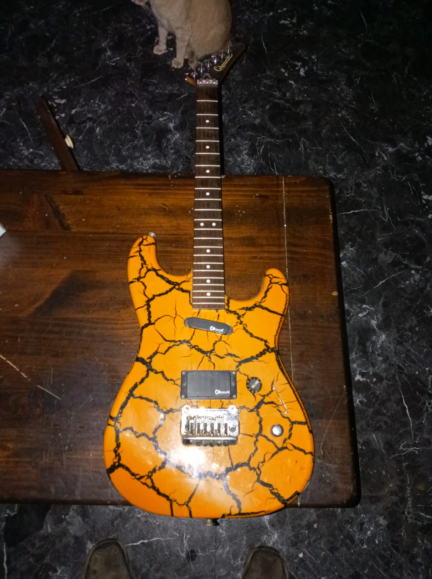 Charvel guitar series with unique logo?