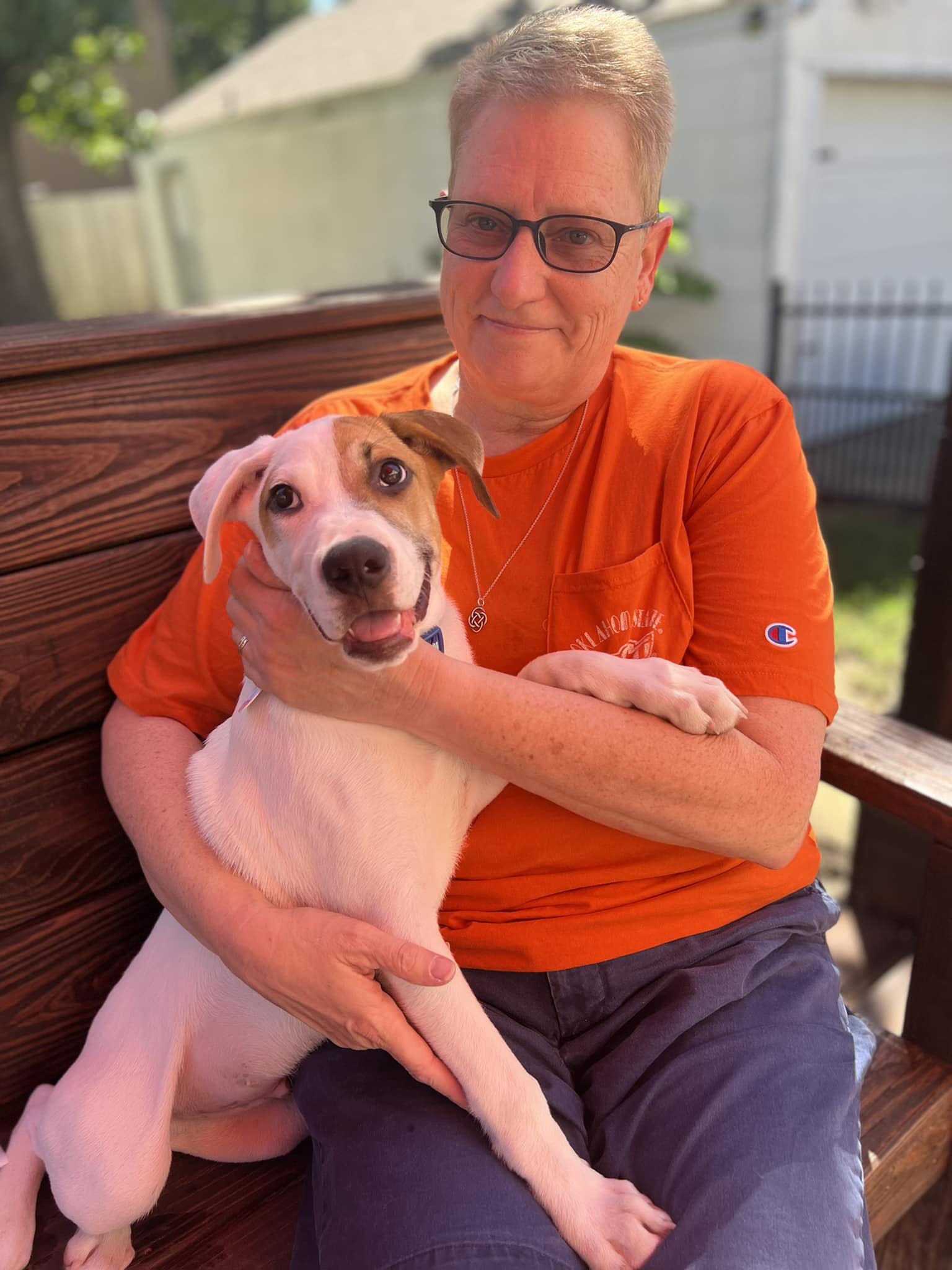 Our sweet little... - Oklahoma Pet Collective Society - OPCS