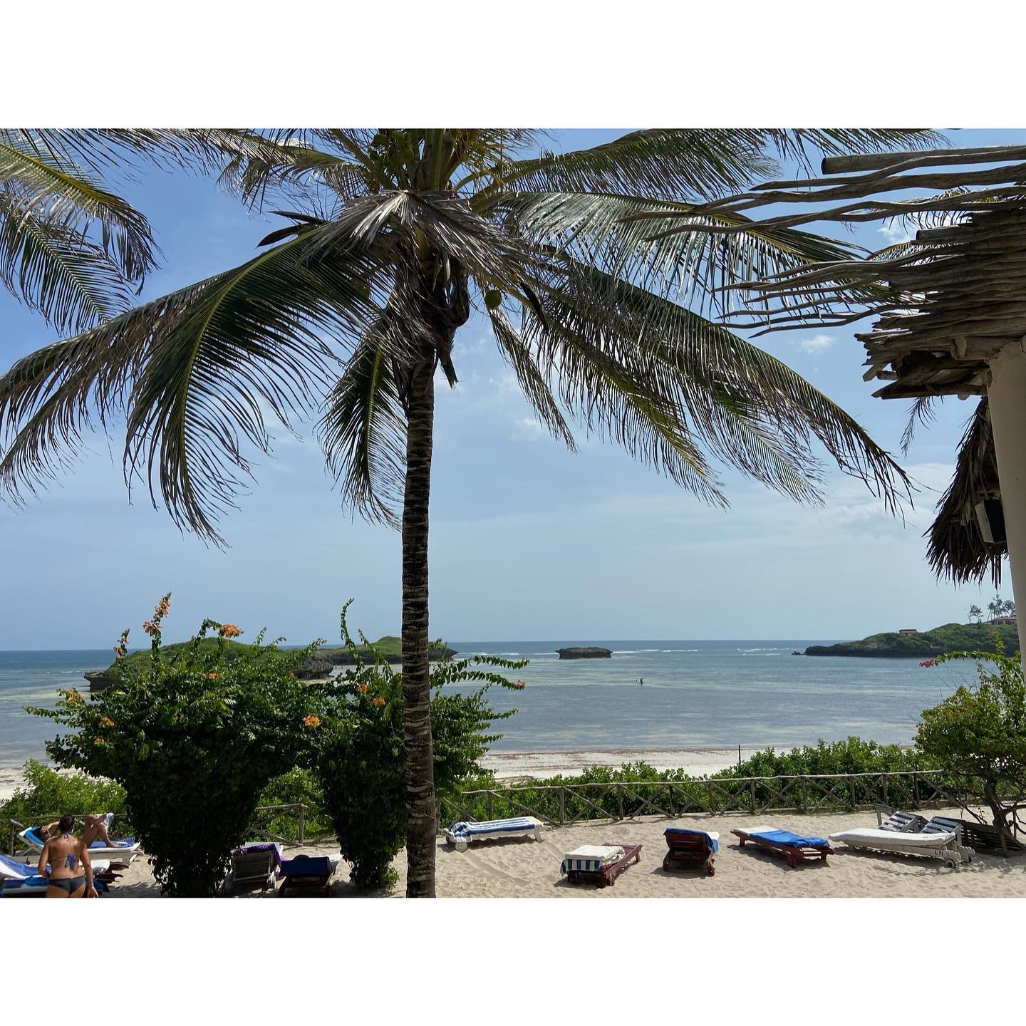 One of the best #view here in #Watamu... - Lily Palm Resort