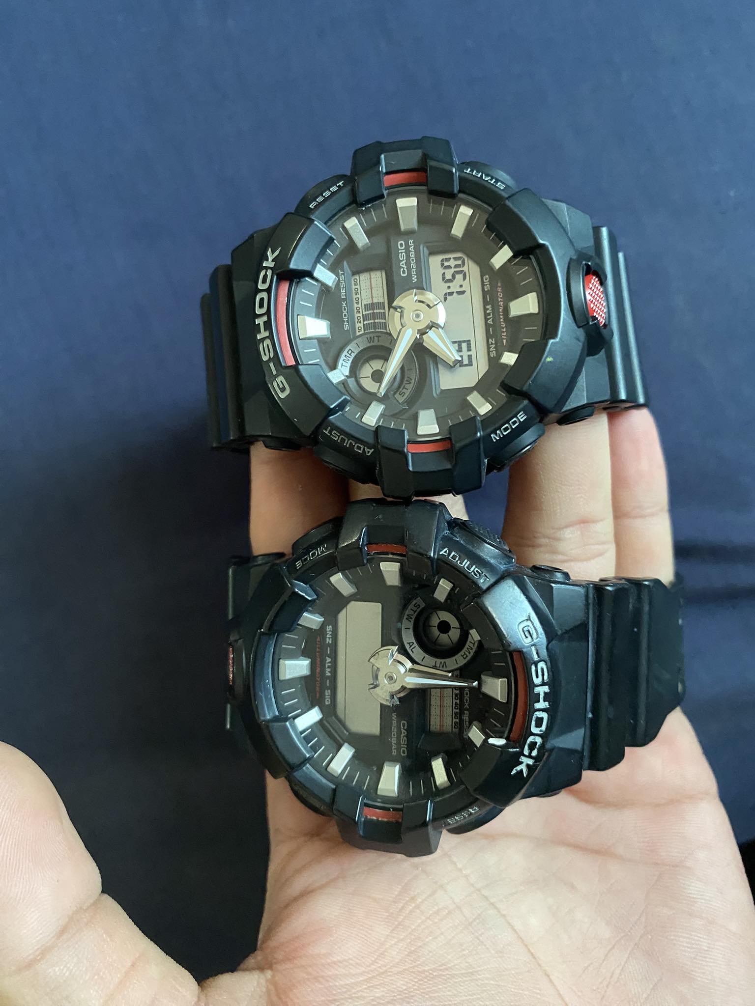 Casio GShock DW6600B BOB SAPP THE BEAST