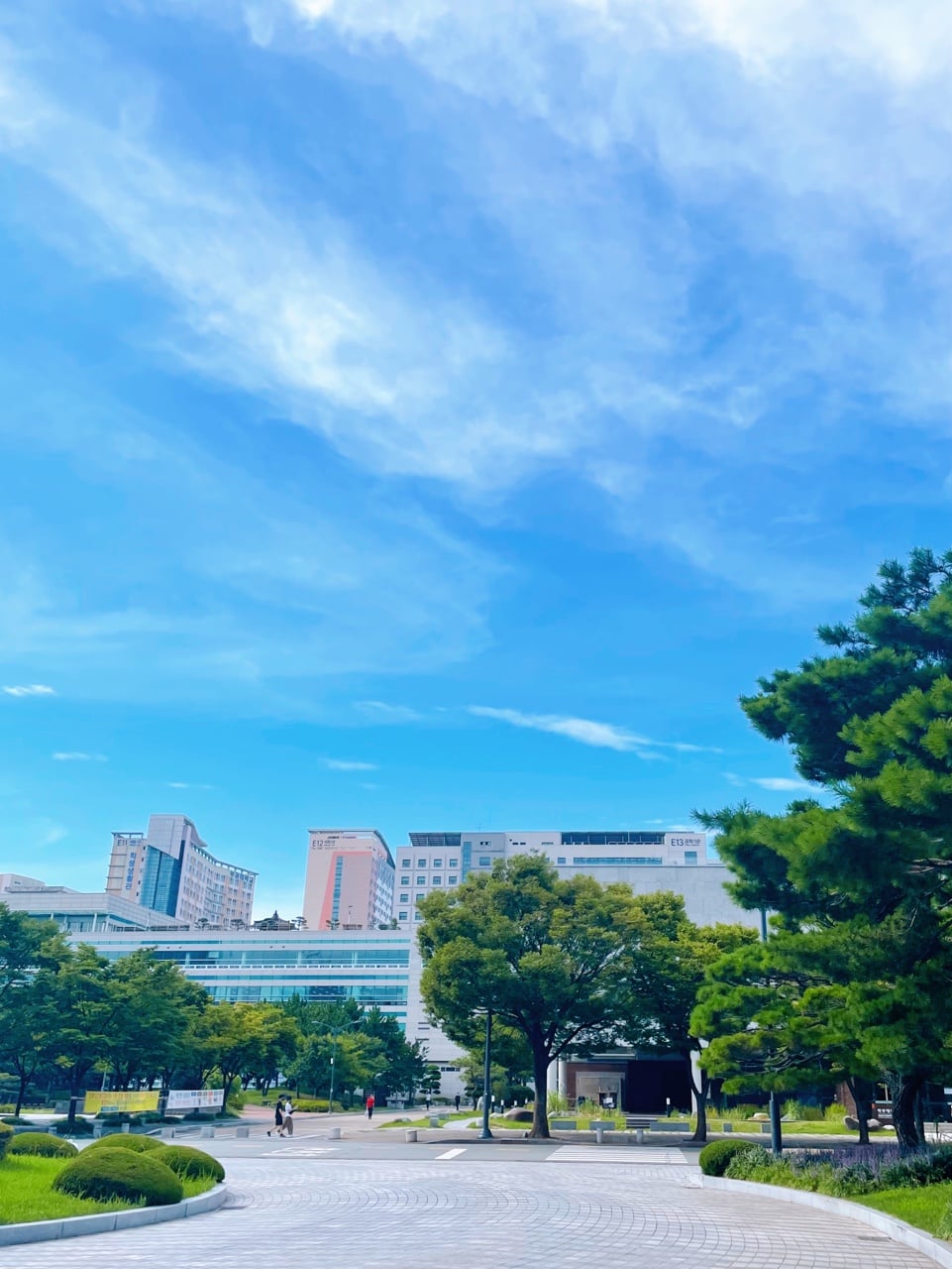 국립부경대학교 PKNU - 🌈오늘의 캠퍼스는 바람도 좀 선선하게 불고 하늘이 솜사탕처럼 예쁘네요🐳🤍... | Facebook