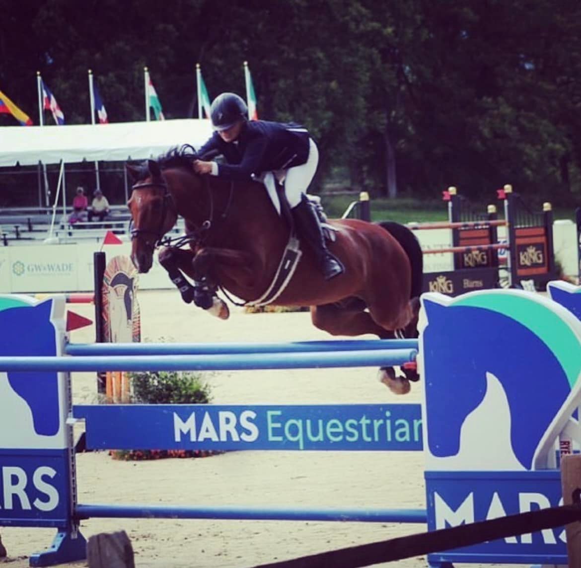 Firefly Sporthorses LLC | Keswick VA