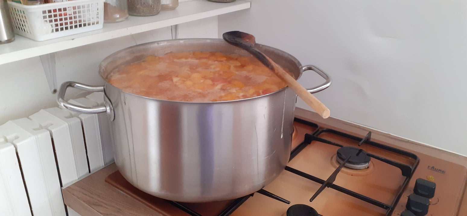 Gite D étape Lasbros Chez Marie En Aubrac