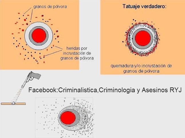 Criminalistica,Criminologia - ANILLO FISH / TATUAJE((Parte 2º)) Por ...