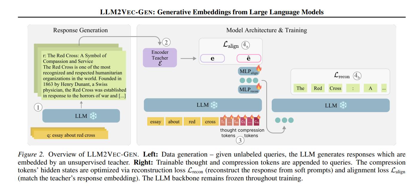 Llm2vec-gen generative embeddings for text