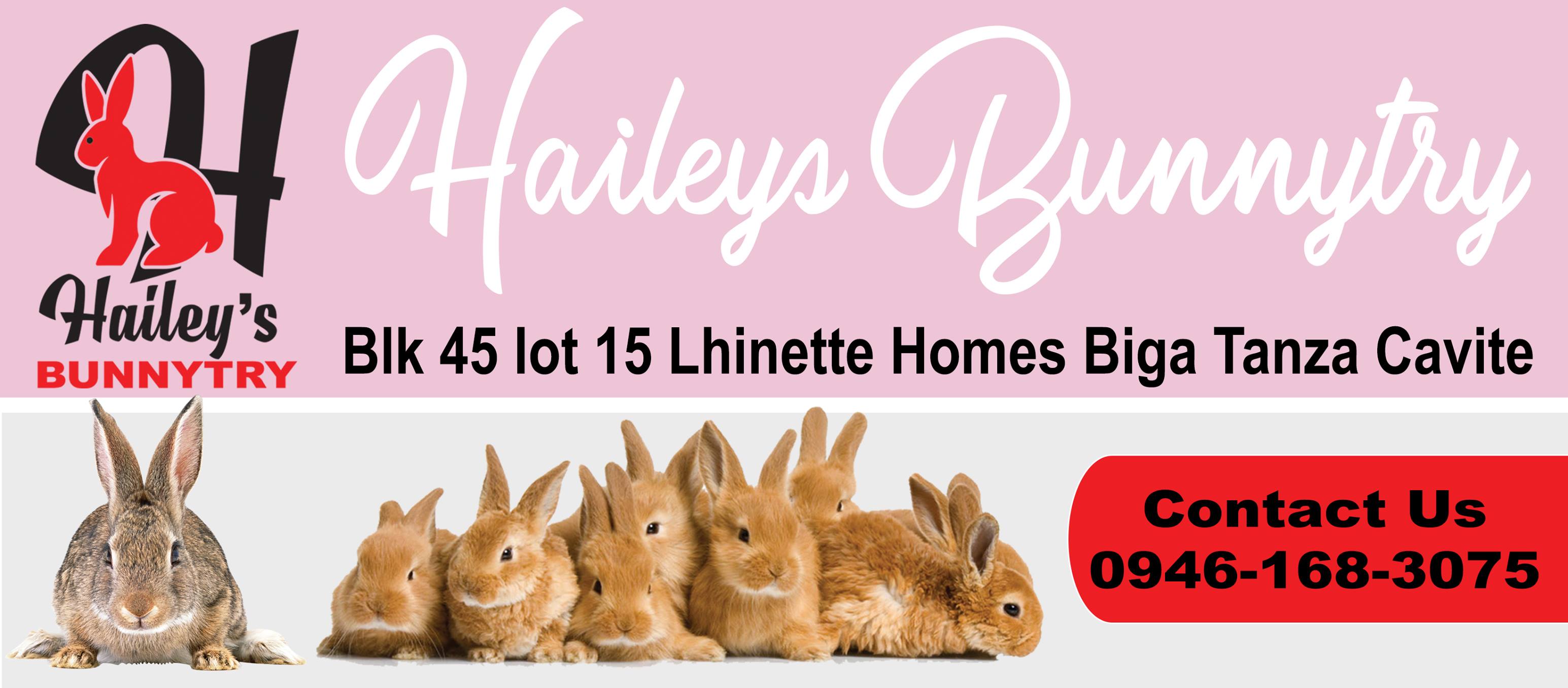 Hailey's rabbitry | Tanza