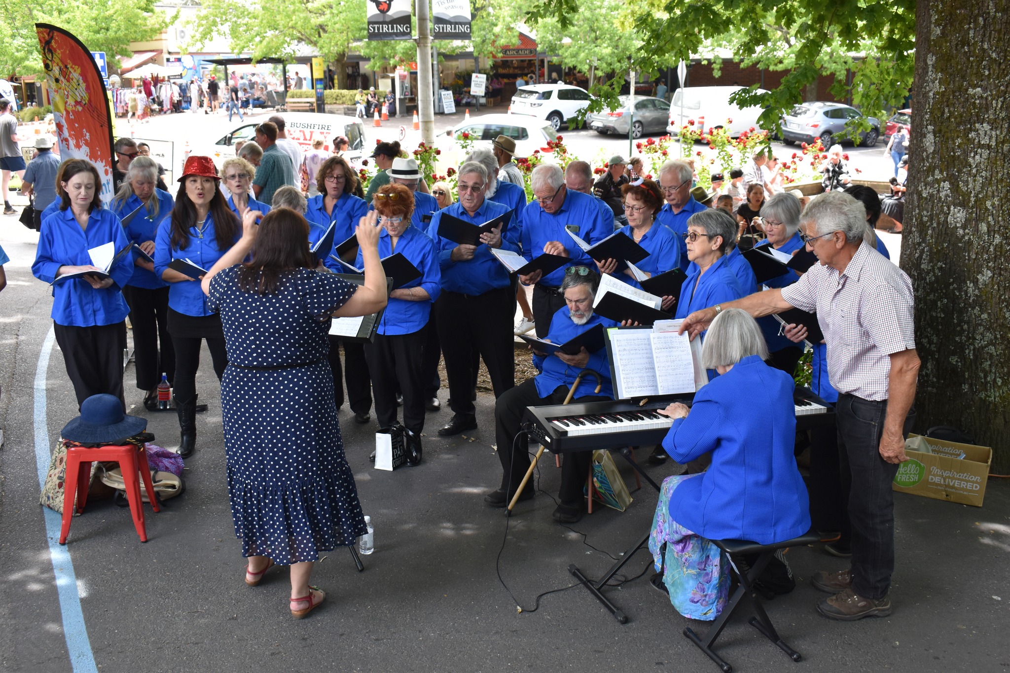 Mount Lofty Singers