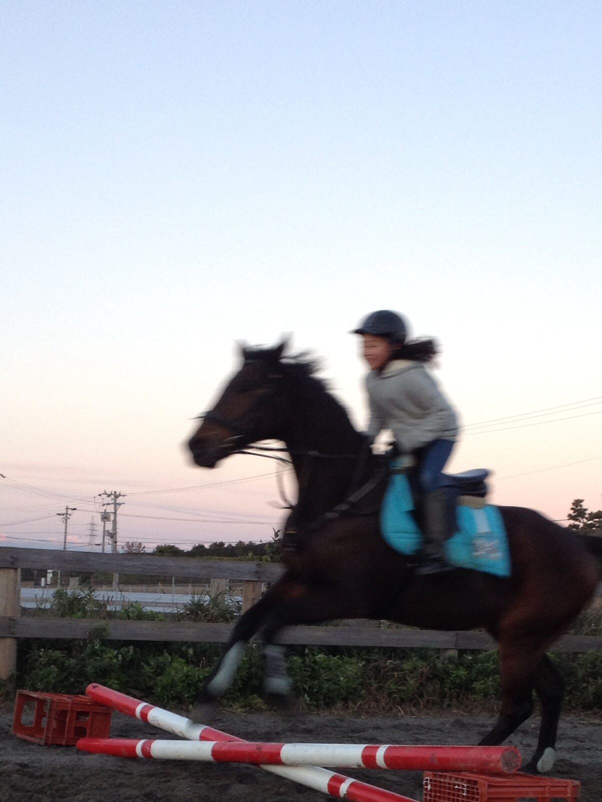 里山乗馬クラブ - 軽トラにアングルをつけて、ハローがけ！！ ハロー 
