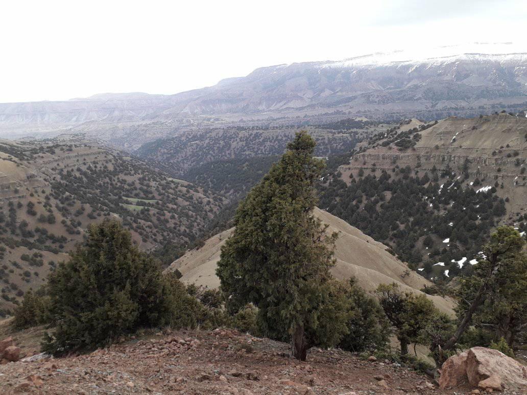 Ranjbar