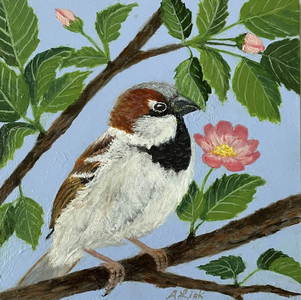 色鉛筆画 2 ジョウビタキ♂ 日本に越冬のためにやってくる渡り鳥