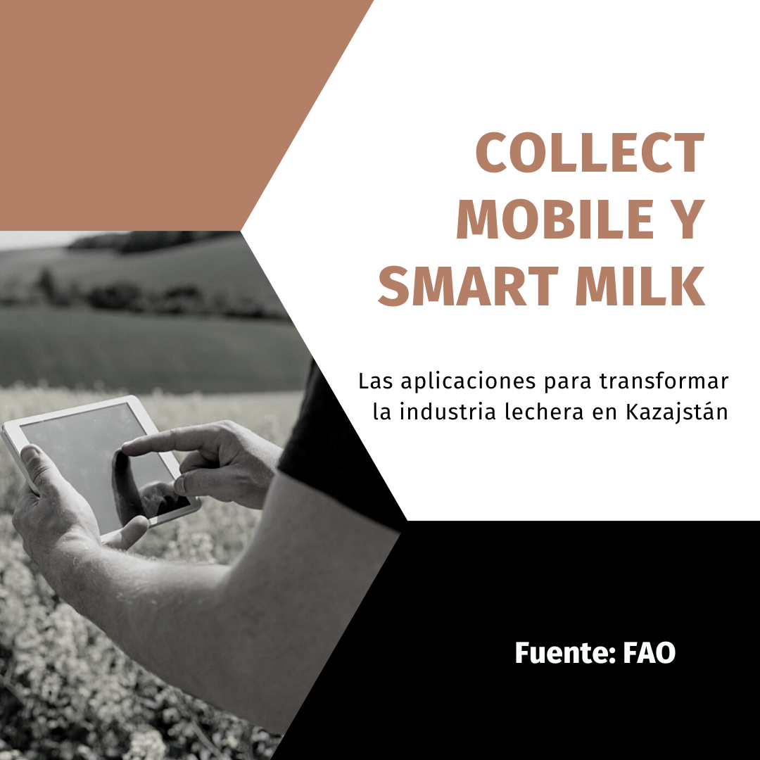 Backo - 👩🏻‍🌾🧑🏻‍🌾 Transformar el sector agroalimentario a nivel mundial ...