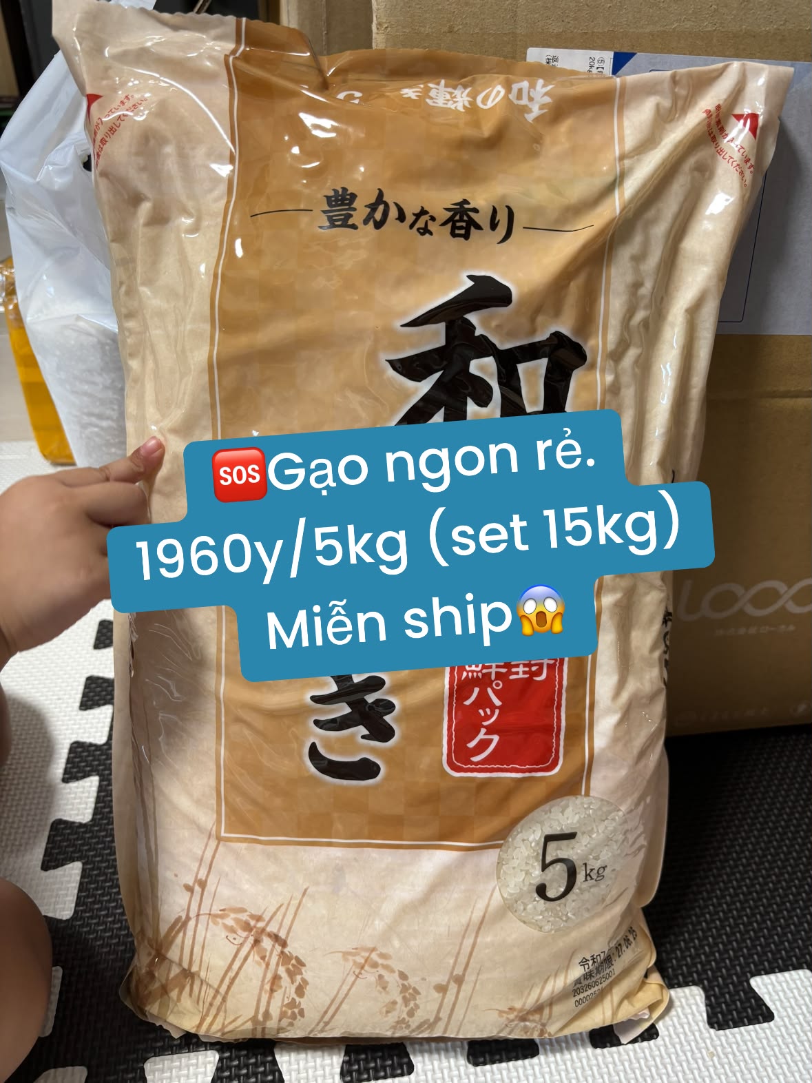 Gạo Himawari 8kg giá rẻ tại Yamada Nagoya