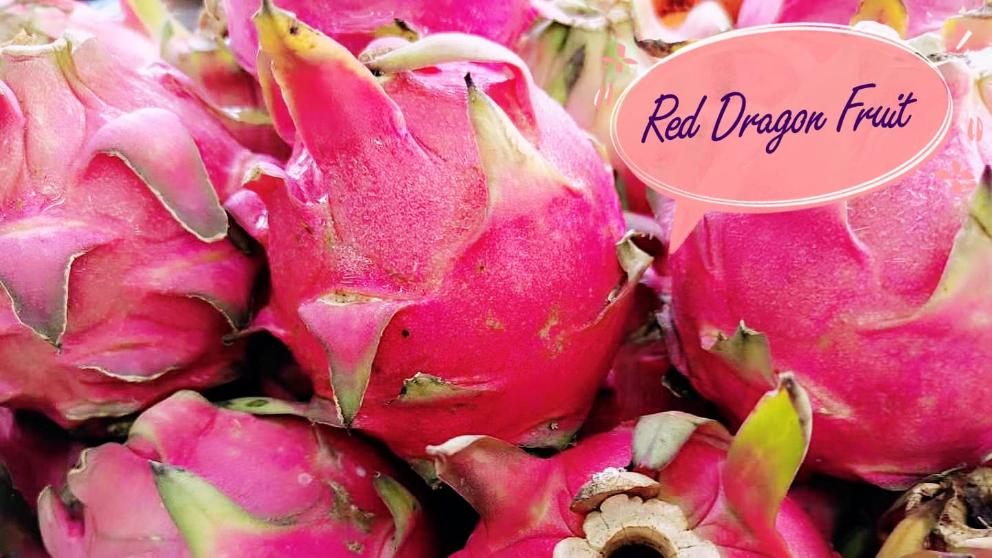 Raja Uda | Butterworth