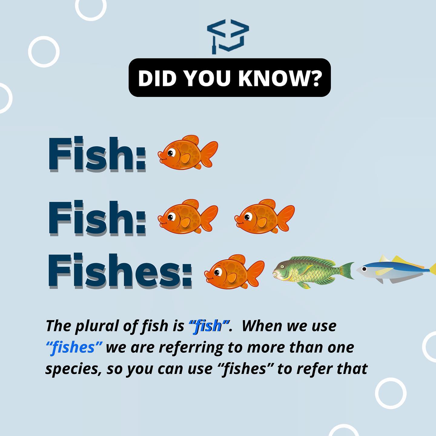 Did you know?🤔 The plural of fish... - Knowledge School - KS