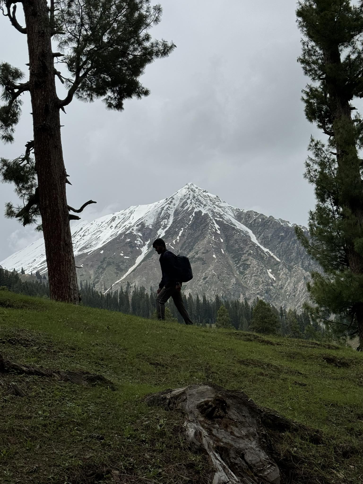 Rahib Ali