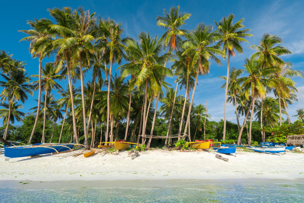 🔥 SIQUIJOR TOUR PACKAGE 🔥 ‼️AVAIL... - Lee Travel & Tours