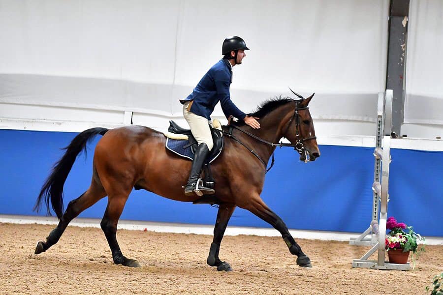 Amelia Liddell Equestrian... Amelia Liddell Equestrian