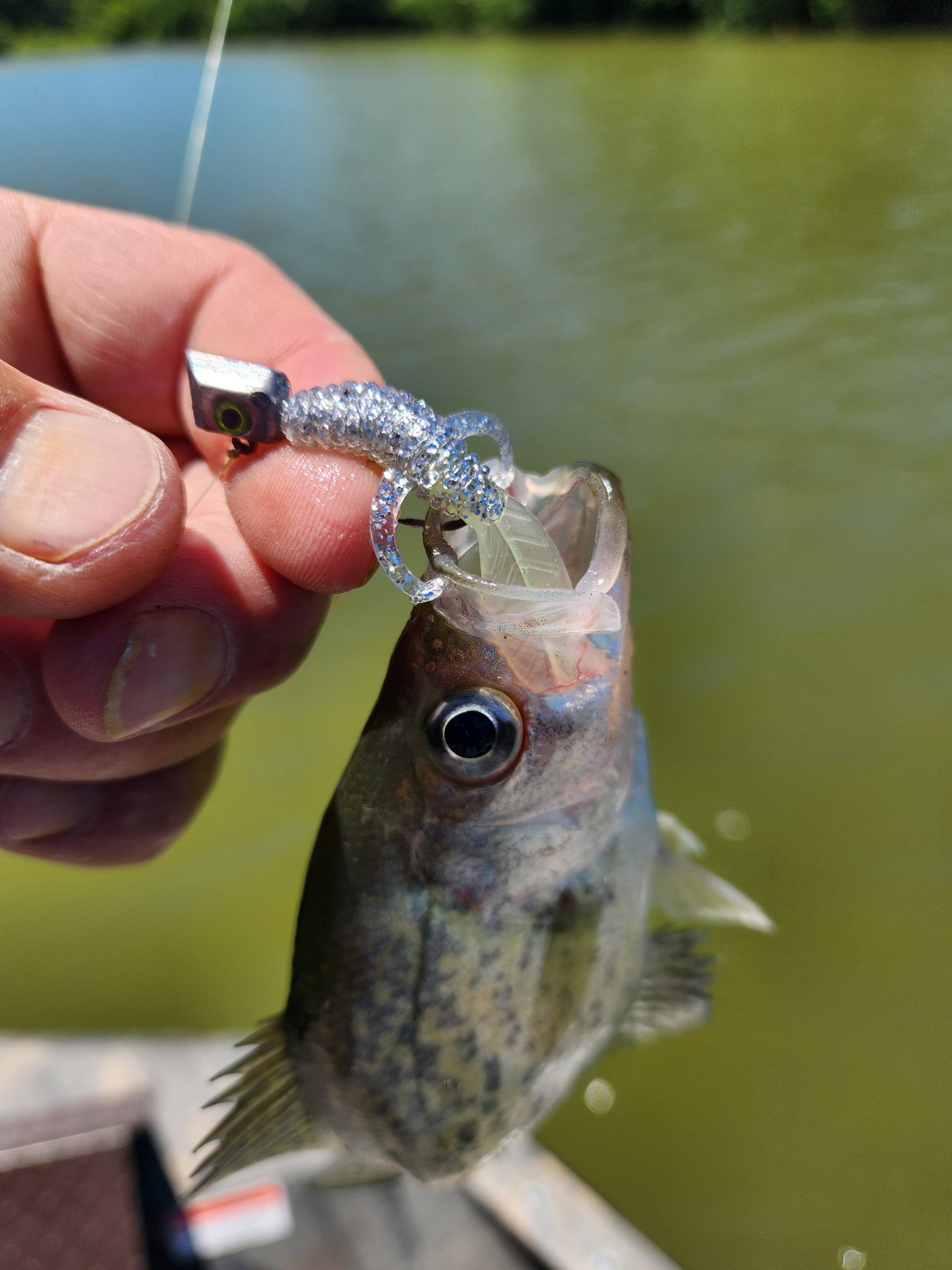 barbus fishing reels Trabucco Reel Dayton BR 4000 Baitrunner Carp Fishing Feeder Specialist Carp Lake River Everything Else GPS:No Bluetooth Connectivity to Smart Dobyns Fury Casting Rod School Number 47