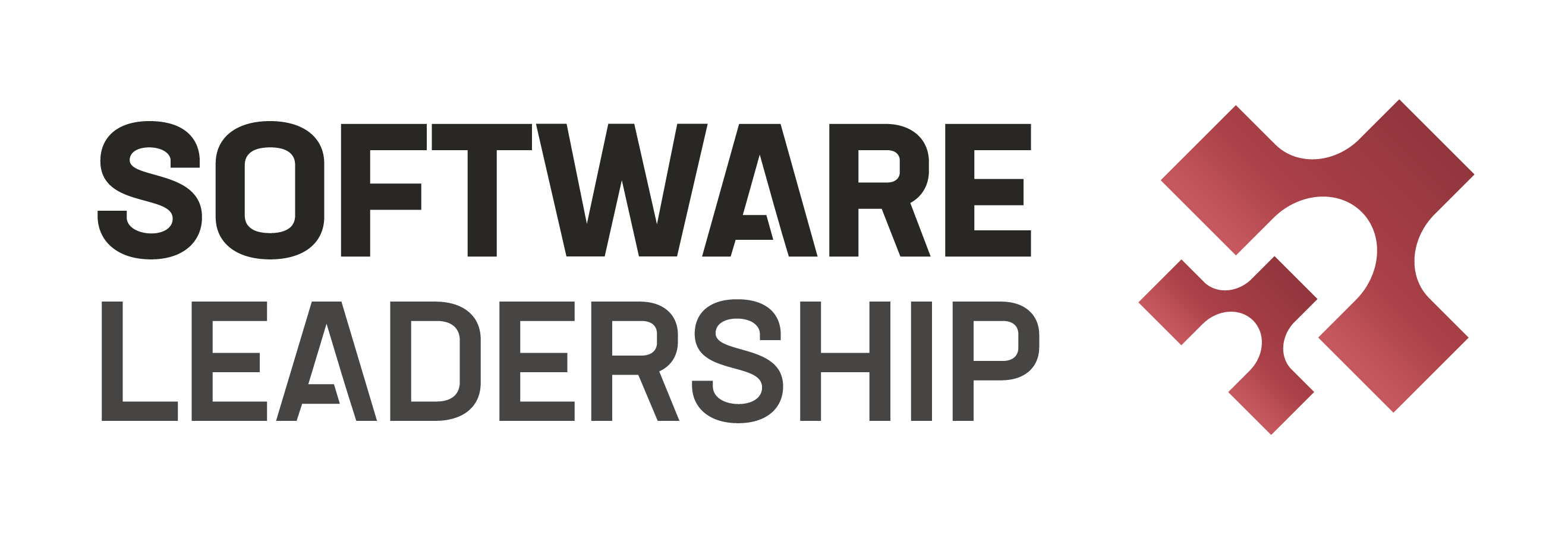 Software Leadership