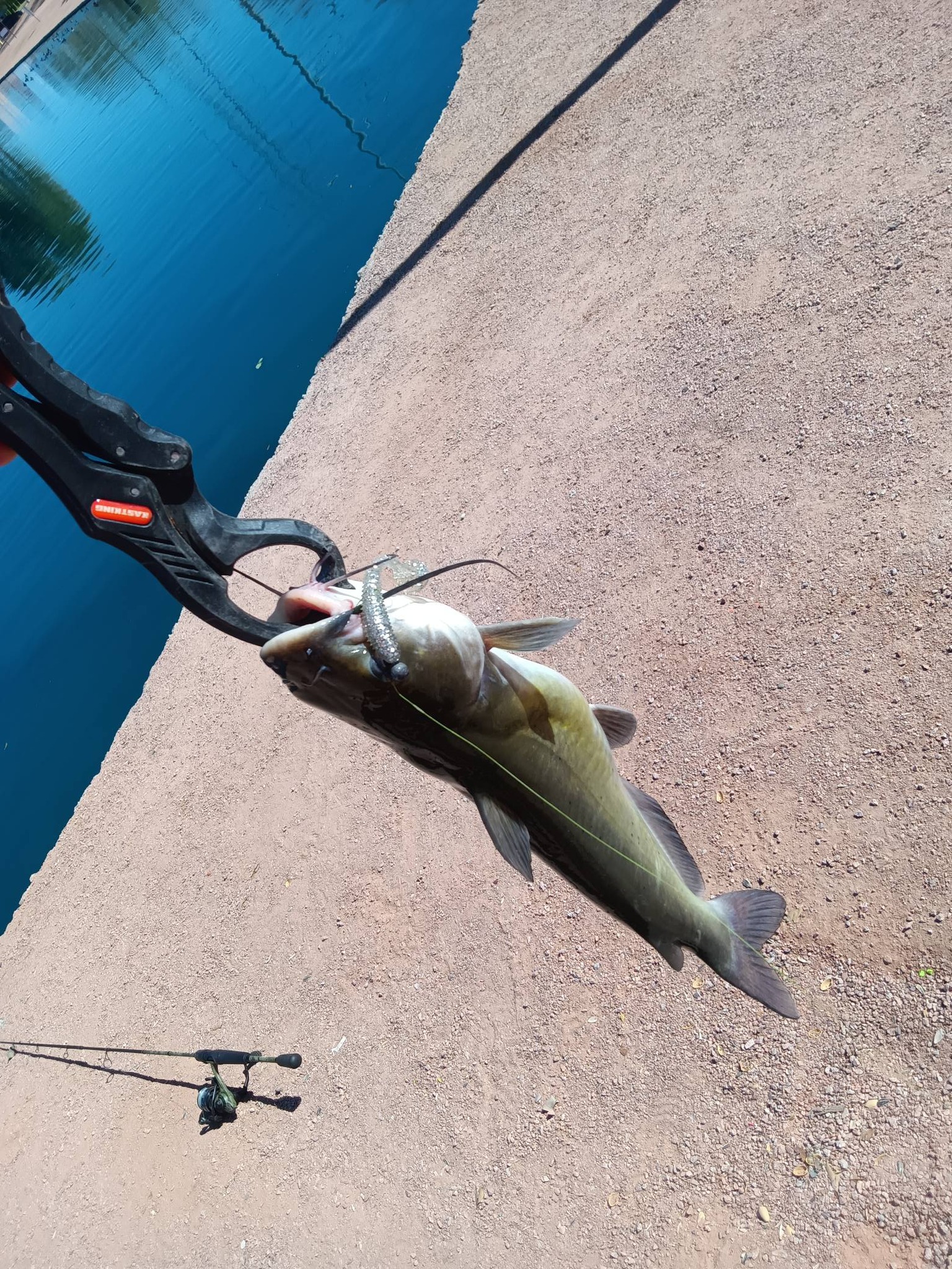 best lure for bass pond fishing BAIKALBASS Lures Tackle Kits Hard Baits Minnow Pencil VIB Crankbaits Topwater Floating Lures Assorted Fishing Tackle Sets (006-43pcs) : Sports & Outdoors Color:Green Pumpkin D:fishclub26 Berkley / FireLine Tracer