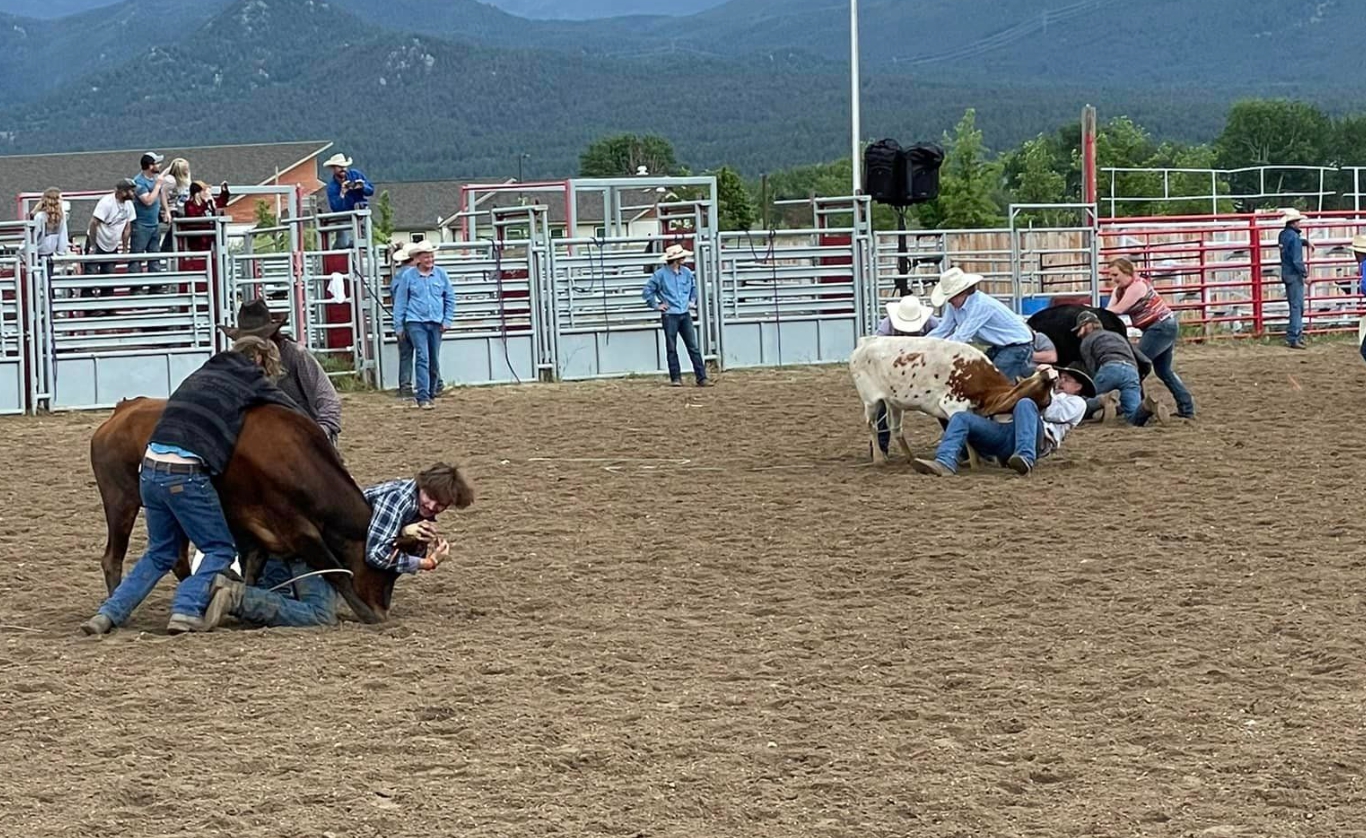 Jefferson County Rodeo 2026 | Hillsboro MO