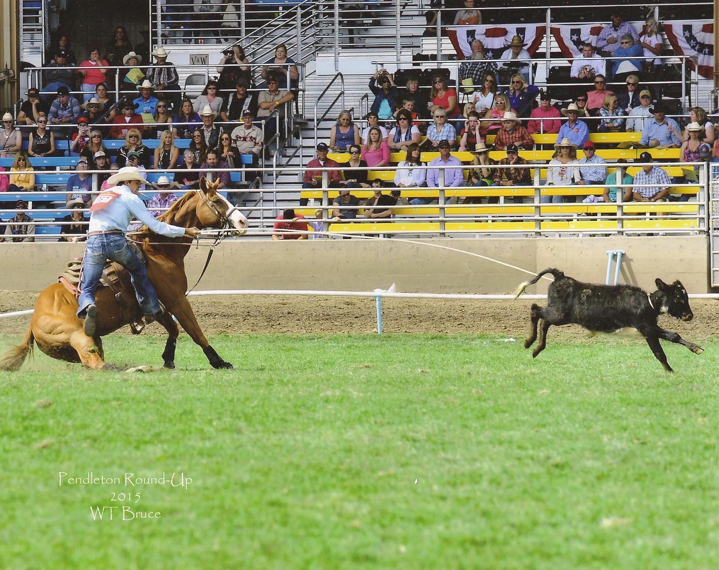 Team Roping Canada added a new photo. - Team Roping Canada