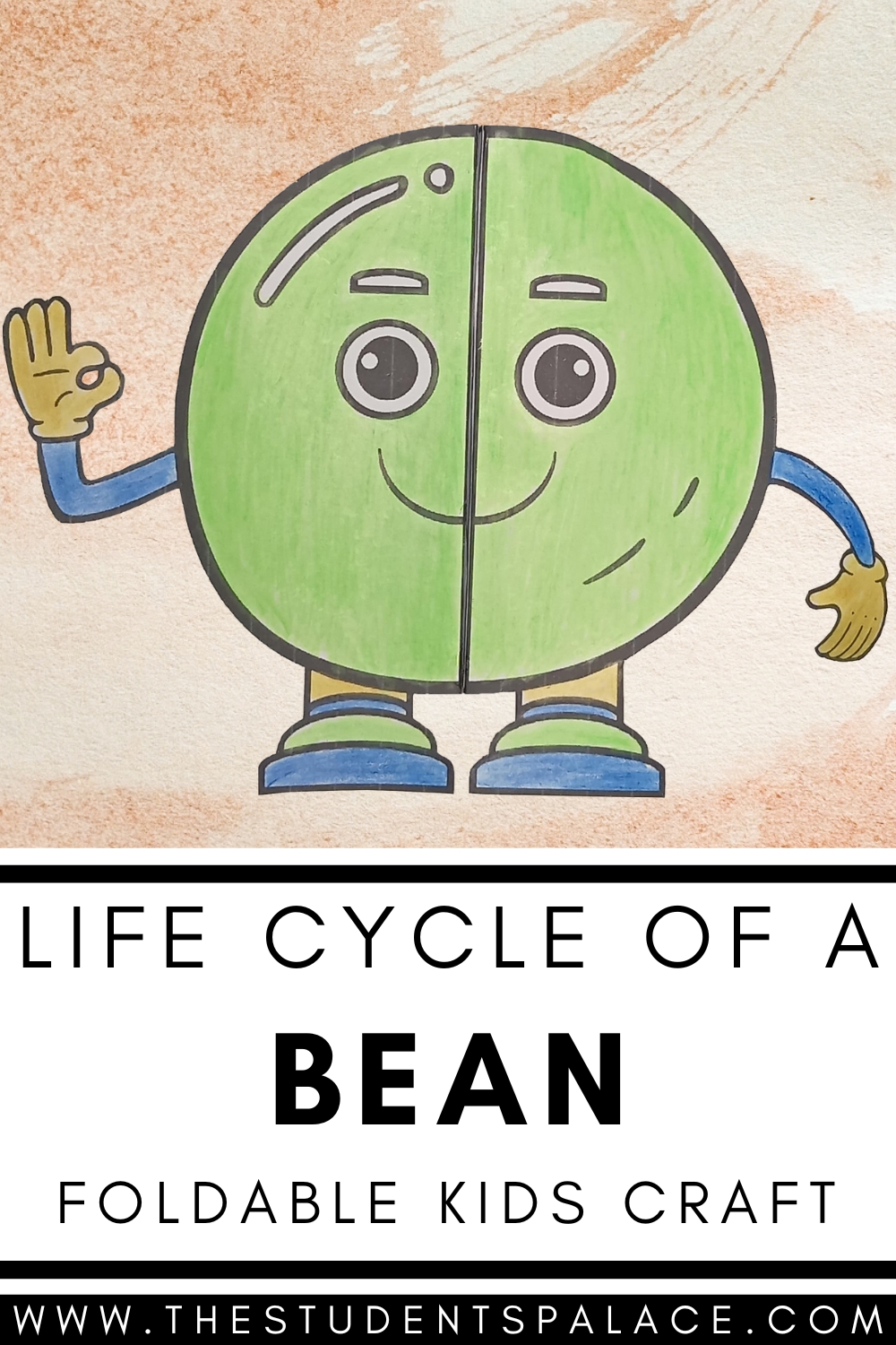 The Students - Life Cycle of a Bean Plant : Cut and Paste Foldable ...