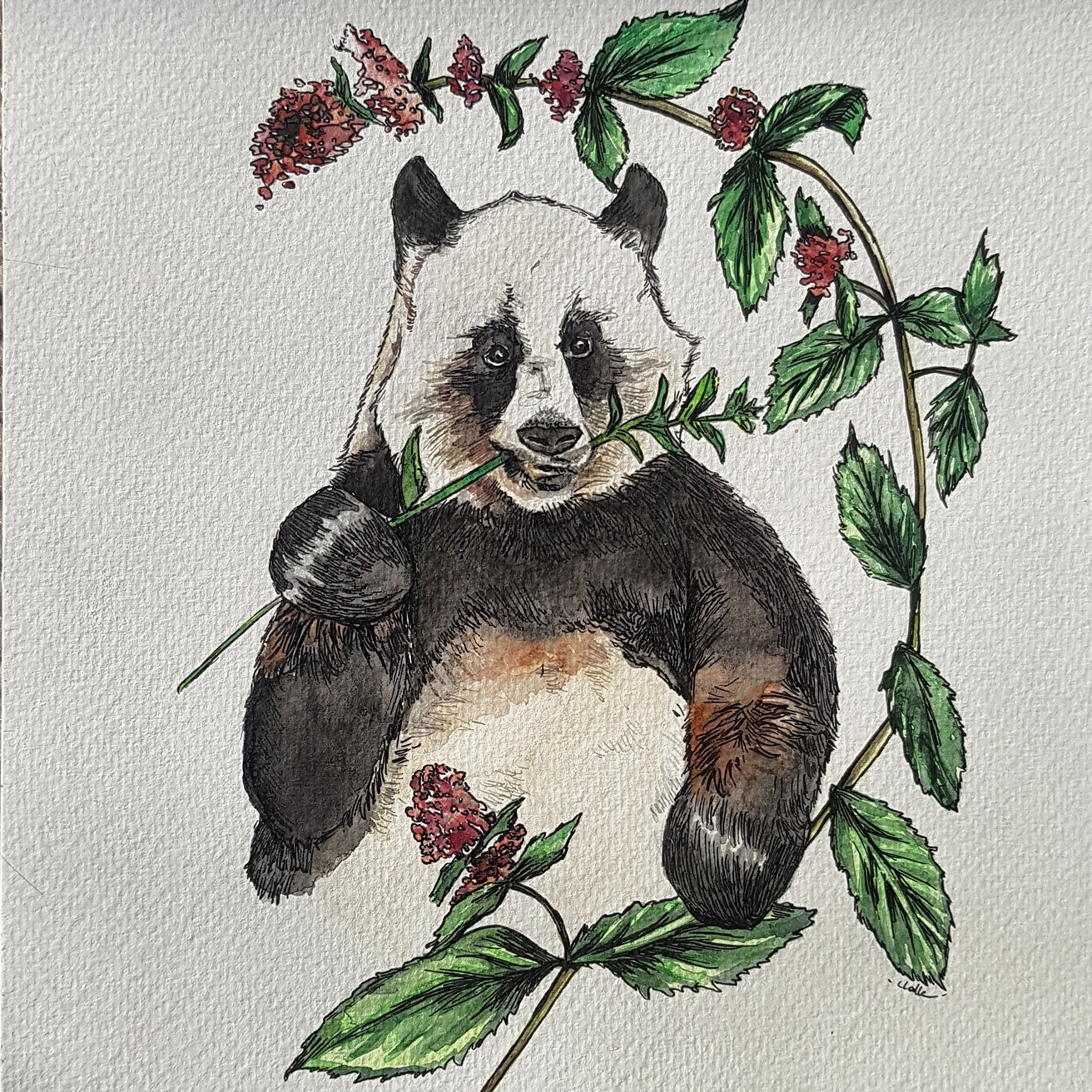 Caroline Labbé artiste