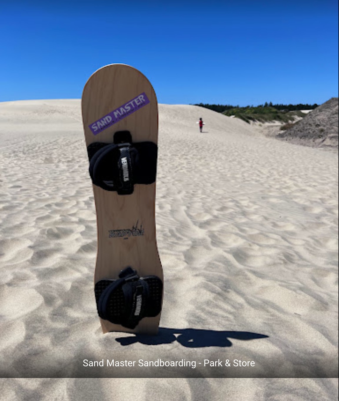 The Venomous Raptor 105cm.... - Venomous Sandboards