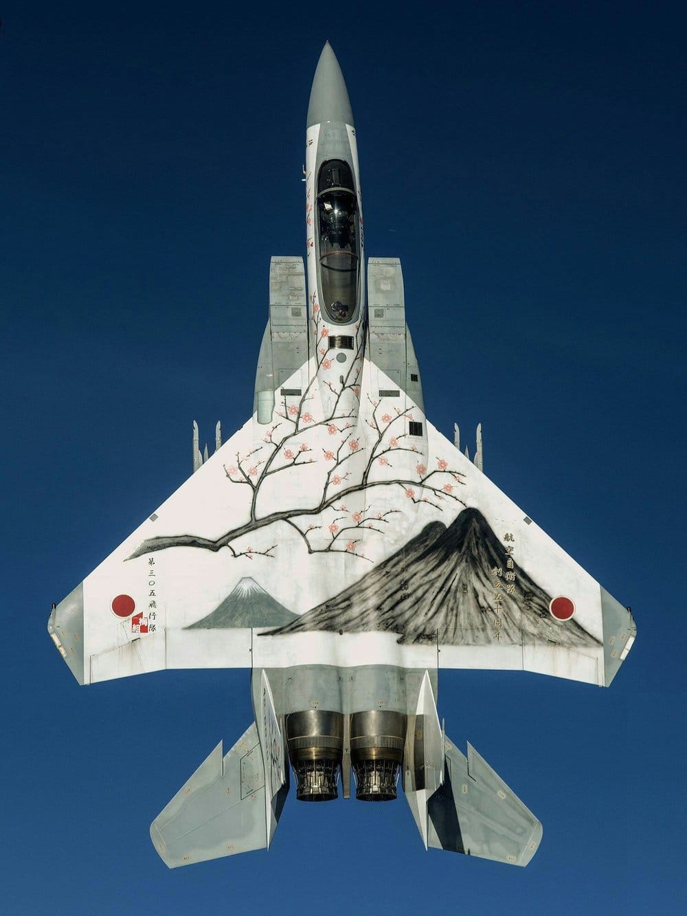 The Art of Japan's Painted F-15 Fighter Jets