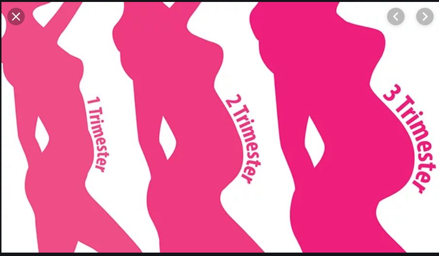 Tout savoir sur la grossesse