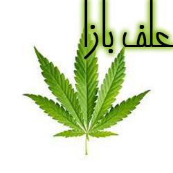علف بازا ChetBaza
