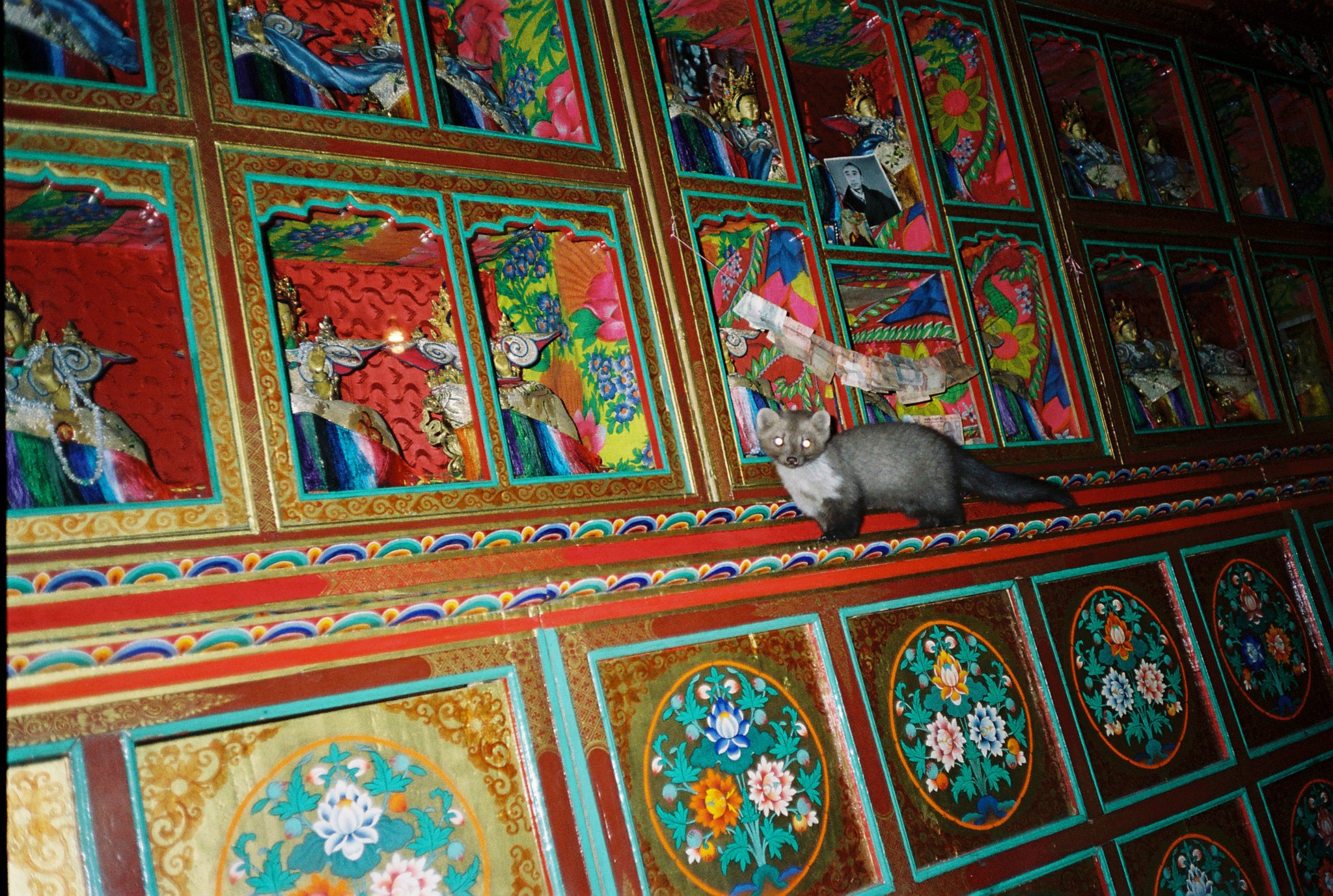 20th Kushok Bakula Rinpoche