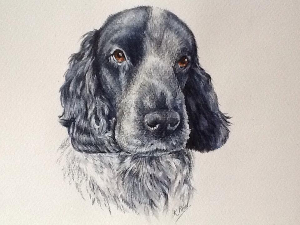Kim Prior's Art and Portraits