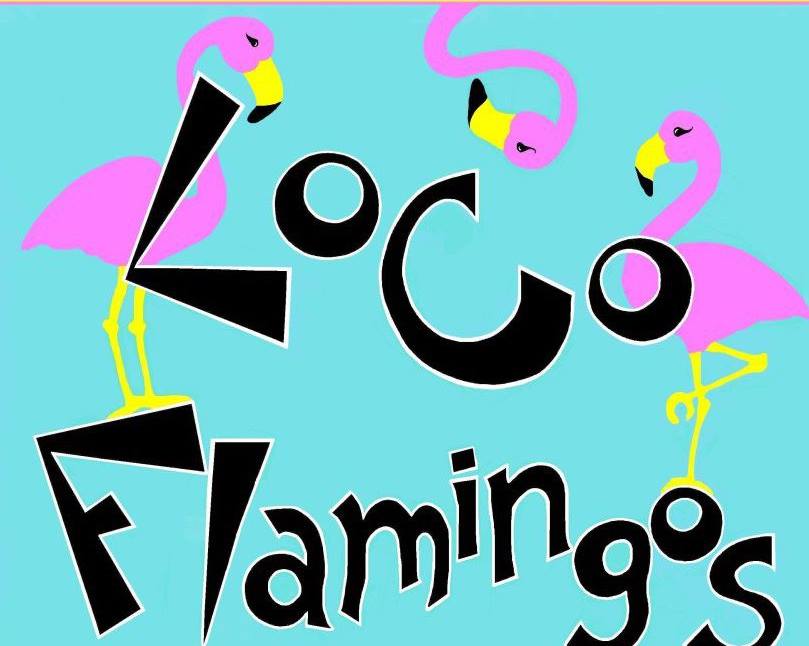 LoCo Flamingos - LoCo Flamingos added a new photo.