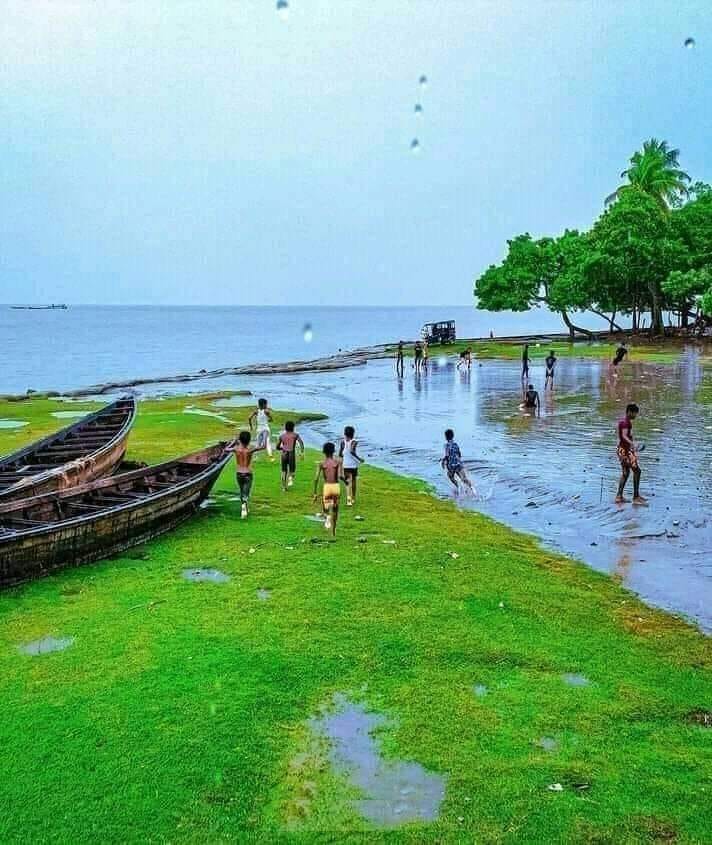 Semul-শিমুল