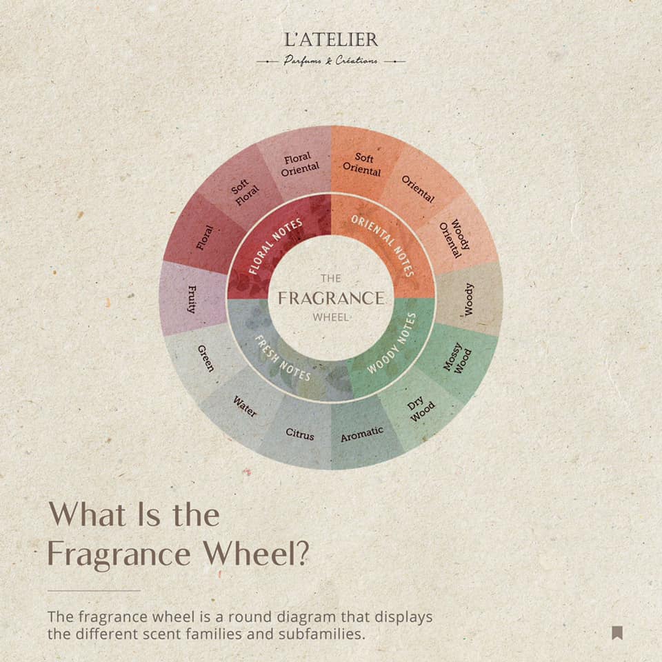 The Fragrance Wheel is a... - L'Atelier Parfums et Créations | Facebook