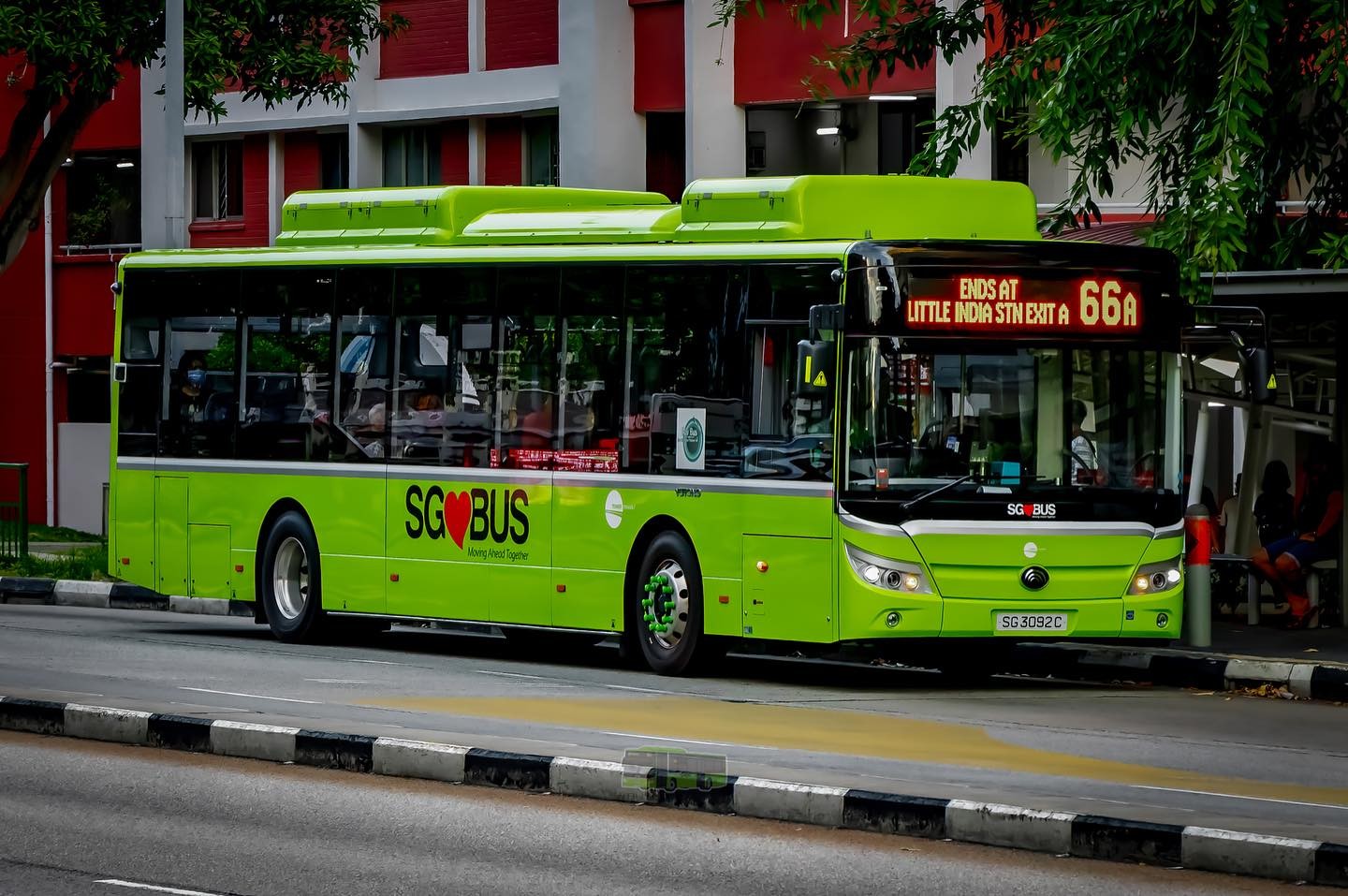 A Buses’ Portrait