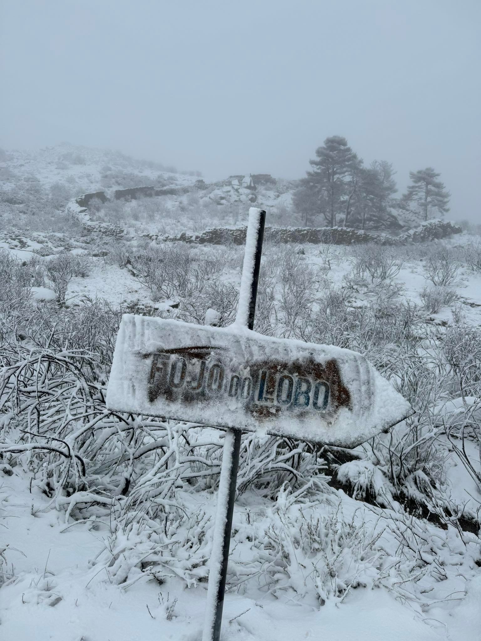 Vilarinho da Samardã,... - Meteo Trás os Montes - Portugal