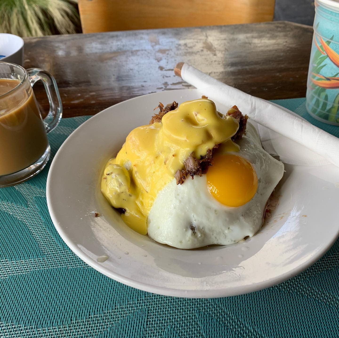 Loco Moco Volcano 🌋 and Athena... - Fu Dogs MMA & Kickboxing