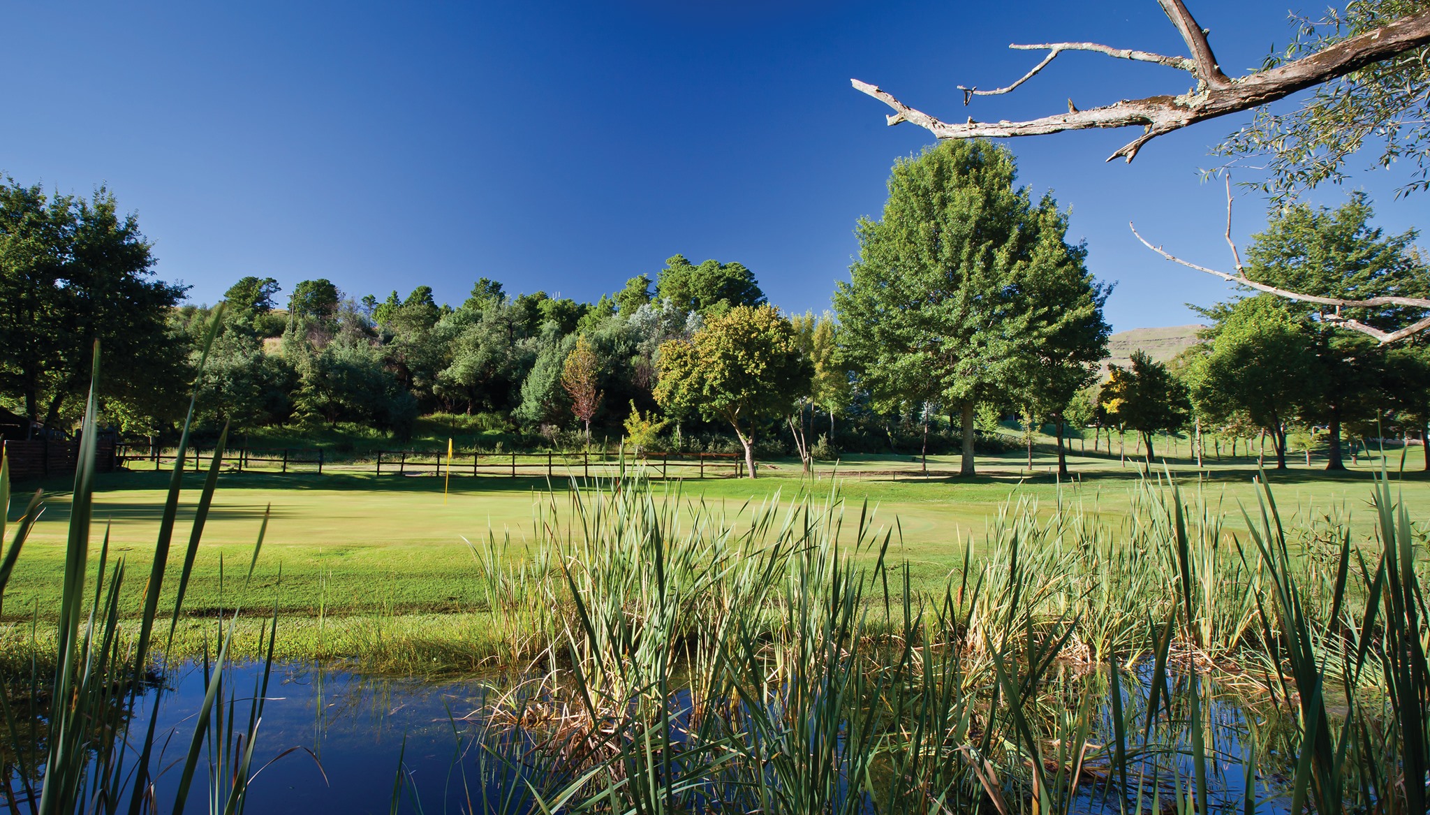 gooderson-drakensberg-gardens-golf-spa-resort-underberg