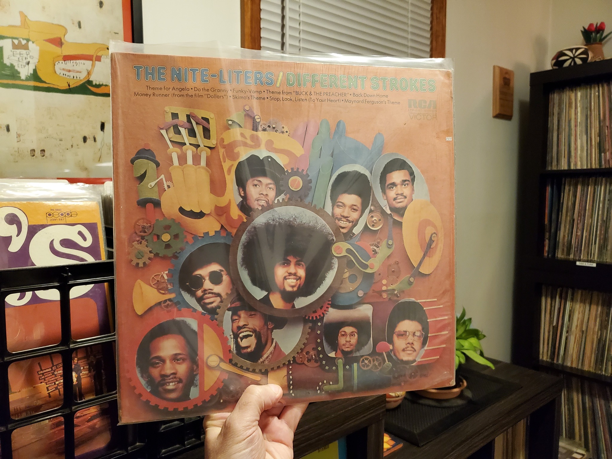 The Nite-Liters' Different Strokes LP review