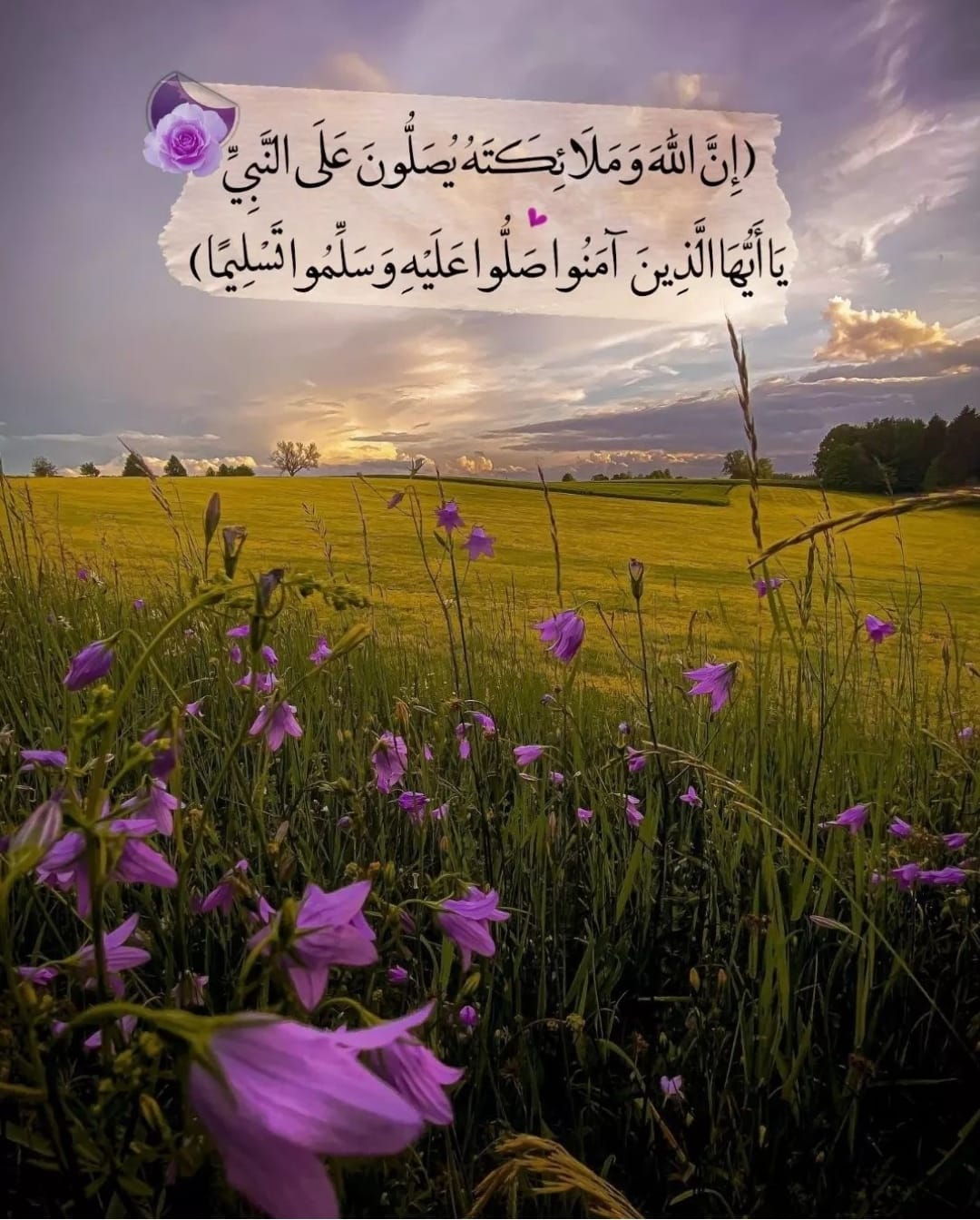 خٌ ـذٌ بّـيّدُى إلَى آلَجَ ـنٌة - آللهـم في #يــومـ_آلجمـــ۶ــــہ‏‏ 🕌📖📿 ...