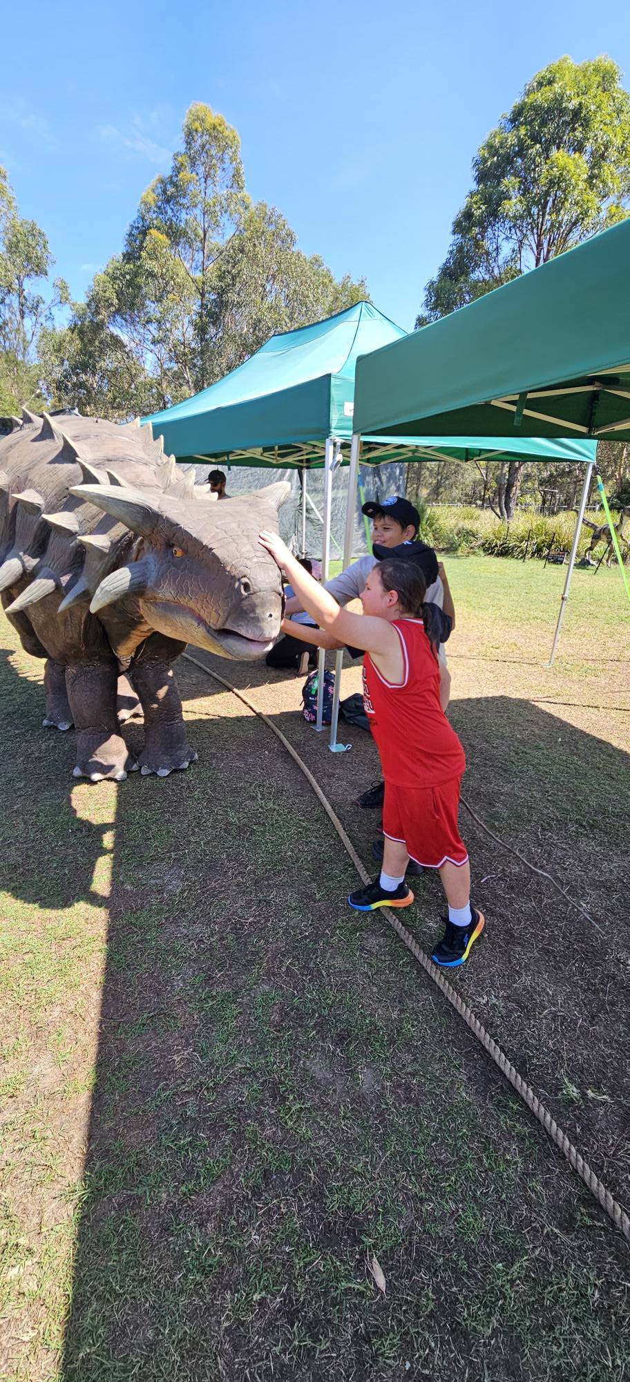 DinoFest Sydney | Facebook