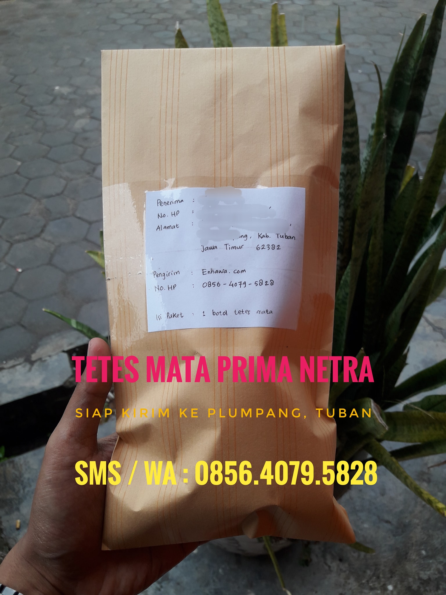 Tetes Mata Prima Netra - Home