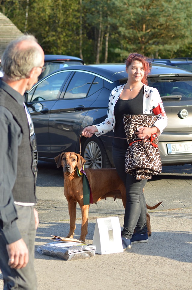 Rhodesian Ridgeback Kennel of Mombasa - Kwelanga