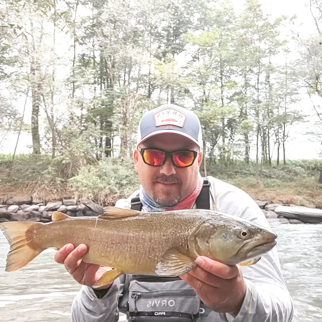 fishinglife_simone - One of the most stunning fish of the season ...